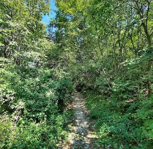 Casa Nonna Antonietta דירה Perledo